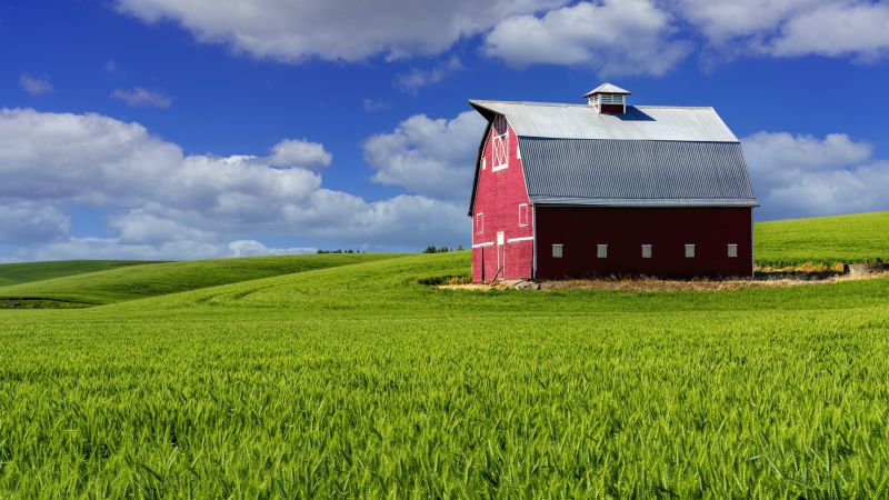 Colorful Barns in Rural Setting